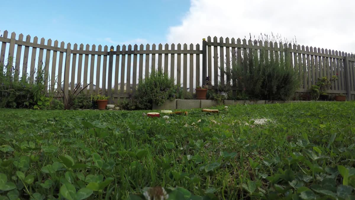 Angled wooden garden fence along a green lawn