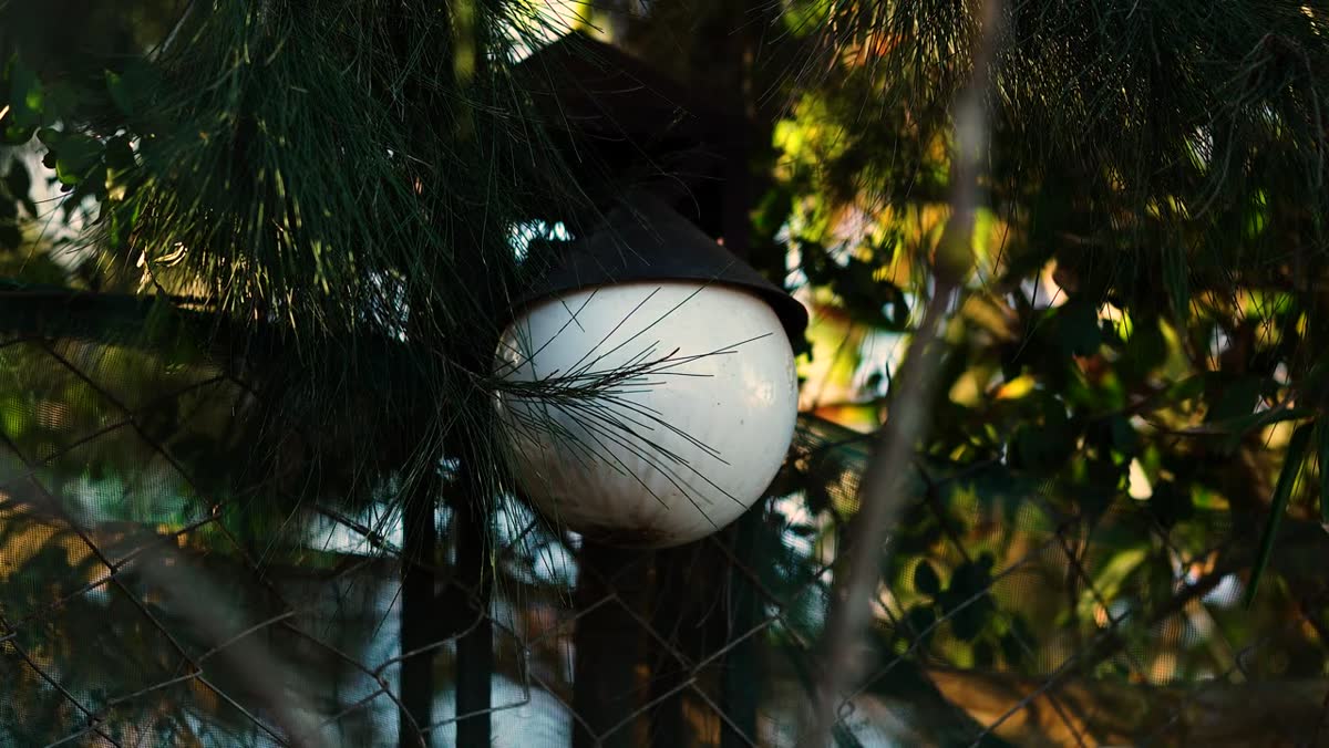 Solar motion light in a garden at dusk