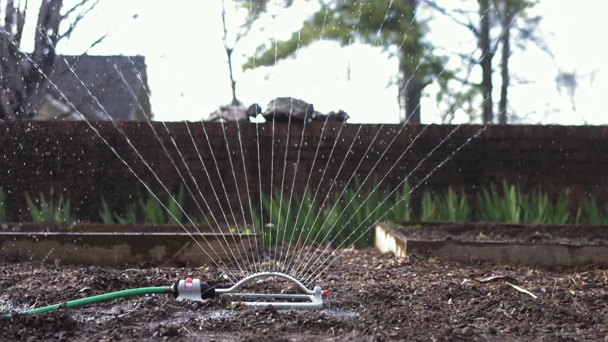 Motion-activated sprinkler spraying across a garden bed