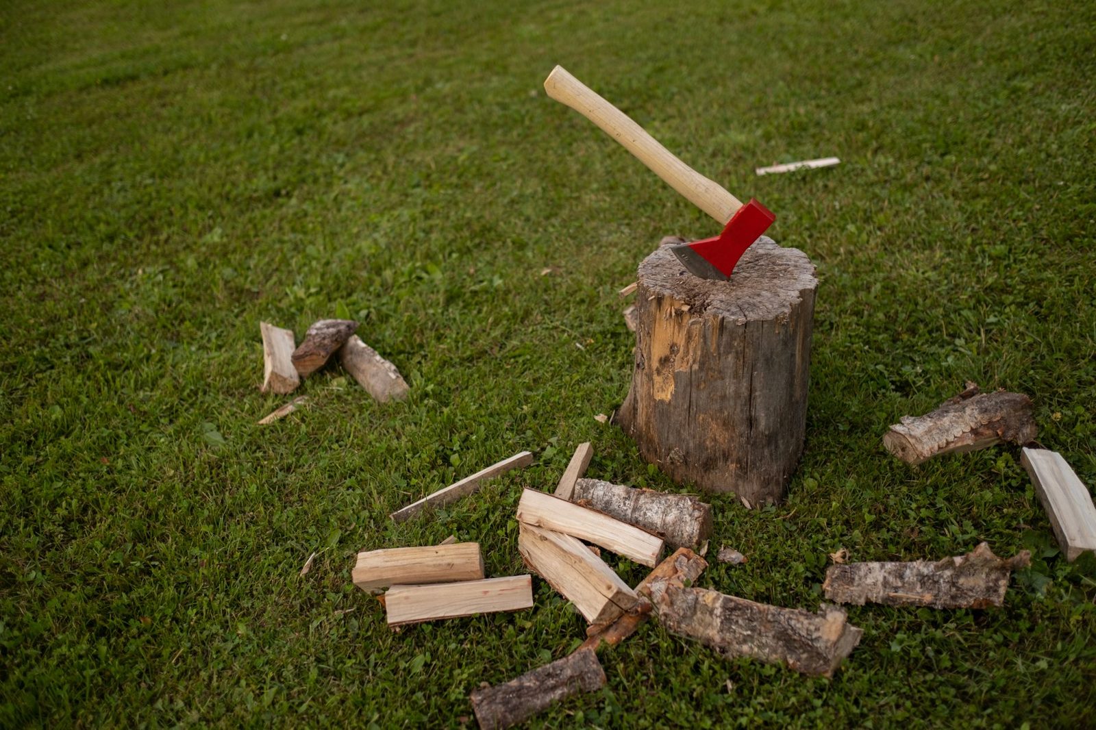 An axe in a chopping block beside freshly split wood